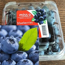 칠레 생 블루베리 생과 미국산 국산 생 블루베리 125g, 8팩, 8개
