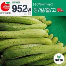 해돋이농산 국내산 백오이 백다다기 다다기오이 오이 못난이오이 10개 20개 30개, 상10개