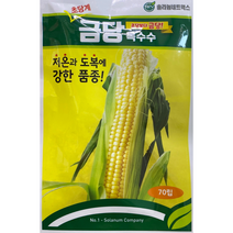 금당 옥수수씨앗 (70립) 초당옥수수