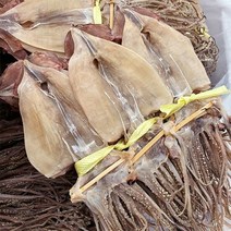 [자연맛남]영덕 당일바리 마른오징어 20미한축 1.7kg내외_국내산, 1개