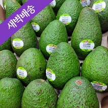 [백화점납품] 초신선 페루 생 아보카도 대과 4과 6과 10과 24과 1BOX 항공직송 프리미엄 과일 선물세트, 대과24과(1BOX)