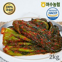 여수농협 [여수농협] 여수돌산 갓김치 2kg, 여수농협 여수돌산 갓김치 2kg