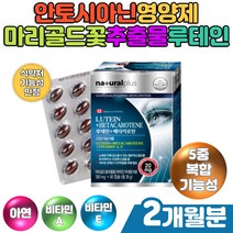 마리골드꽃 추출물 대두레시틴 루테인 베타카로틴 아연 비타민A 비타민E 대두유 밀납 빌베리 블루베리 포도씨추출물 5중 복합 기능성 건강보조식품 안토시아닌영양제