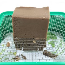묵 자르기 채썰기망 도토리묵 슬라이서, 제품선택, 사각묵채 2호, 1개