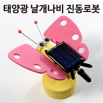 태양광 날개나비 진동로봇(1/5인용) - 33498, 1인용