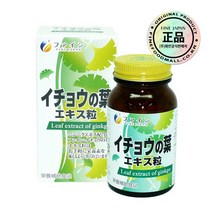 화인 혈액순환영양제 기억력영양제 징코 은행잎추출물 400정