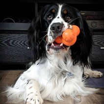 웨스트포우 턱스 L 튼튼한 강아지장난감 노즈워크, 01.탄제린 오렌지