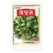 왜당귀씨 1g 당귀씨 일당귀 씨앗 대장 동원종묘