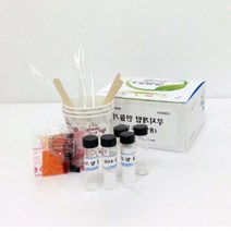 초등학교 간단한과학실험 무지개 물탑(5인용), 단일