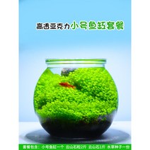 1자어항 2자광폭어항 4자어항 두자어항 3자슬림어항000095406, 01 작은 사이즈의 구형 항아리+수초 세트