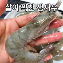 오동통 제철해산물 싱싱한 신안 흰다리 생 새우 대하 1kg, 흰다리생새우1kg