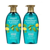 [1+1]페퍼민트 진저 샴푸500ml 쿨링샴푸, 500ml