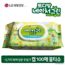 (대한도매) 정품 캡형 물티슈 100매 1개 차박용품 차박 캠핑용품, 상세페이지 참조