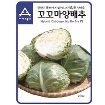 아시아종묘 꼬꼬마 양배추 씨앗종자 양배추씨 양배추씨앗, 500개