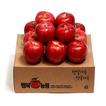 행복농원 문경사과(부사) 2kg, 1박스, 1. 행복농원 대과 2kg(6~7과