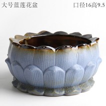 식물 리톱스 트리옵스 인테리어 초미니 선인장 사무실 모양 귀여운 다육이 화분 소형 책상, 라지 블루 연꽃 화분, 중간 정도