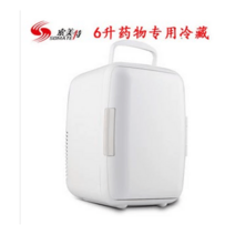 자동차 냉장고 가정용 트럭 화물차 캠핑카 미니 소형, 6L냉장 의약품