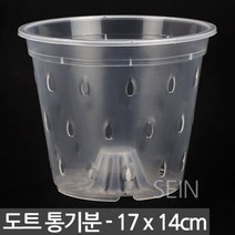 플라스틱 도트 통기분 14호 - 화분 난분 슬릿 난 동양 서량 포트 플분 란 서양 동양 모종 심기 삽목 분갈이