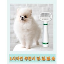 주인샵 2in1 저소음 펫 브러쉬드라이기