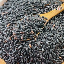 특품 2022년 햇 국산 찰진주, 1개, 500g