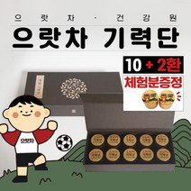 피로회복 만성피로 영양제 보약 수능영양제 수험생 생신선물 공진단상자 기력보충 효도선물 공진단상자 기력 체험분 으랏차건강원 으랏차기력단, 기본포장 (메시지X)