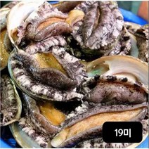 다복 완도 특대활전복 19미(81g~90g), 81g, 19개