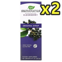네이처스웨이 삼부커스 엘더베리 오리지널 시럽 100mg 240ml 2개