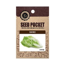월드가드닝 청로메인 씨앗, 1개