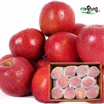 [산지직송] 경북 의성 사과 2.5kg(10~12과), 1개