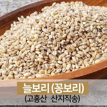 진도장모와서울큰사위 늘보리쌀 꽁보리 비빔밥 쌀 햅곡 [22년산 출시], 1개, 5kg