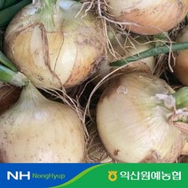 [익산원예농협] 2023년 국내산 햇양파 10kg (특), 1개