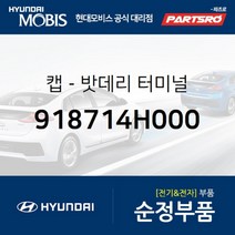 캡-밧데리 터미널 (918714H000)-현대모비스 부품 공식대리점 온라인쇼핑몰 파츠로 그랜드 스타렉스, 1개