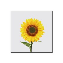 DIY캔버스페인팅 명화그리기 유화 세트 그림 액자, E68_하나의 사랑