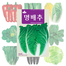 배추 고추 파프리카 씨앗 25종, 흑금장파 2000립