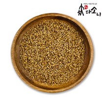 보담다소니 백자인 수입산 측백씨앗 측백나무 씨앗 300g, 300g 1개, 1개
