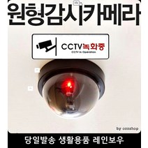 방범 도어경보지 모형CCTV 창문 잠금장치 상점용cctv촬영카메라 장식카메라, 모형감시카메라