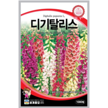 꽃 씨앗 디기탈리스 다양한 색상의 종 모양 꽃이 피는 다년생