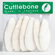 천연 갑오징어뼈 6P 소