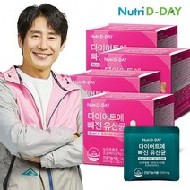 뉴트리디데이 다이어트에 빠진 유산균 14포 x 4개 (총 8주분), 단품, 단품