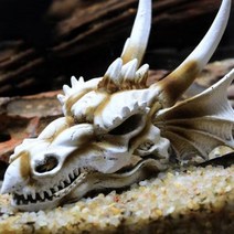 물질 취미 수족관 물고기 탱크 공룡 머리 해골 장식 수지 공예 할로윈 소품 과학 도구 장식 수생 애완 동물 공급, 셴롱, 협력사