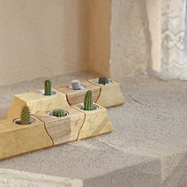펫플랜트 멀티 식물 다육 화분 3구set[화분+다육이+스톤+선물포장], 다육화분B세트(화분+다육이+스톤+선물포장)
