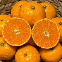 [팜니스] 제주 설국향 수라향 신비향 아스미 못난이 3kg 5kg 10kg, 설국향 못난이 9kg, 1개