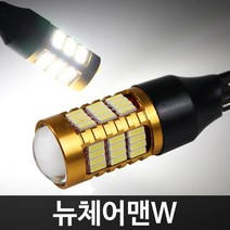 골드에디션 뉴체어맨W 58LED 후진등 T15 2개 1세트