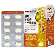 맛있는 구강 면역 항균 프로폴리스 츄어블 아연