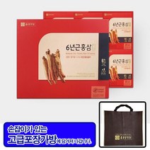 종근당건강 6년근홍삼 골드 60포 고급포장가방 선물용