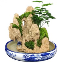 석부작 분재 국화 매화 철쭉 석부분재 분제 20종, 14.(길이x높이x너비) N, 1개