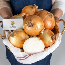 산지직송 무안양파 5kg / 10kg, 요리용 대 5kg