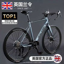 사이클 싸이클 알루미늄 로드자전거 바이크 초경량 로드 가벼운 스피드 여성, (24단모델) 오로라 실버/스트레이트 핸들바