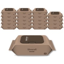 바이오늘 프렌즈 해피니스 물티슈 캡형, 20팩, 120매