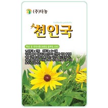 샤스타데이지 1g - 야생화 씨앗 꽃씨 씨 꽃씨앗 샤스타데이지씨앗 샤스타데이지씨 다년생 여러해살이 야생화씨앗 꽃 샤스타국화, 36_다농_천인국(60립)